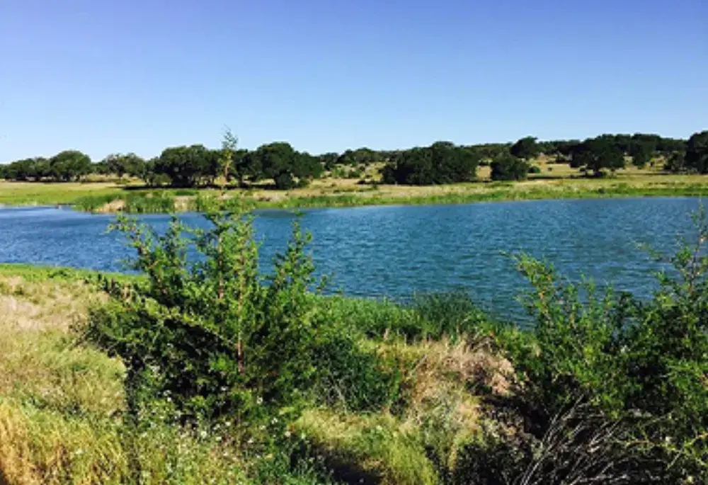 Pond and green brush at Dripping Springs Ranch Park
