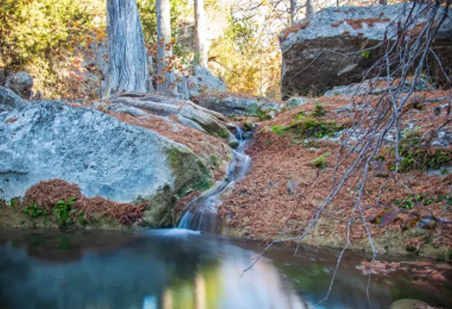 Hamilton Pool